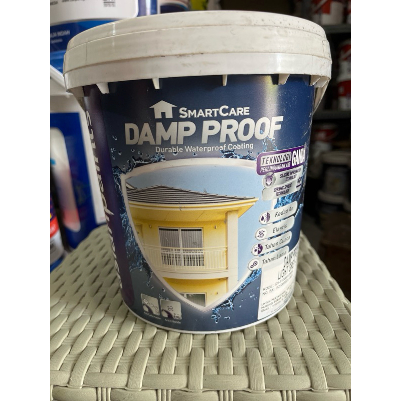 ASIAN PAINT CAT DAMP PROOF 4kg