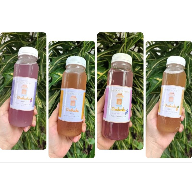 

All Varian Teh Kombucha Ombucha Varian Original Nanas Telang Anggur 250ml Teh Fermentasi Sehat