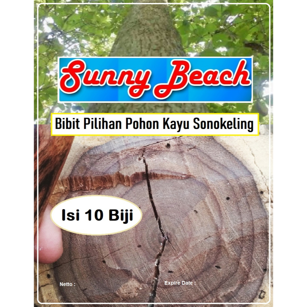 Bibit Pilihan Pohon Kayu Sonokeling | Biji Benih Pohon Kayu Sonokeling