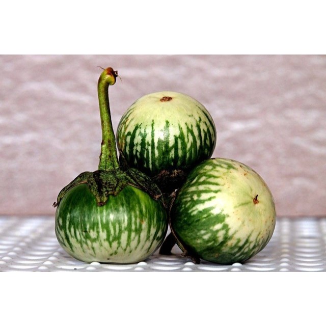 

Terong Lalap Hijau / Terong Bulat 500gr