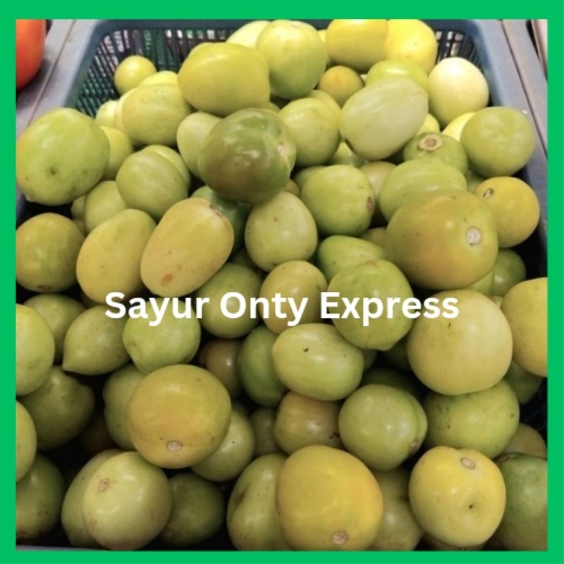 

Tomat Hijau Segar 1 kg