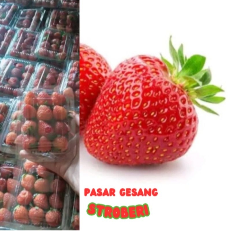 

buah stroberi / stroberry kemasan mika 70gr