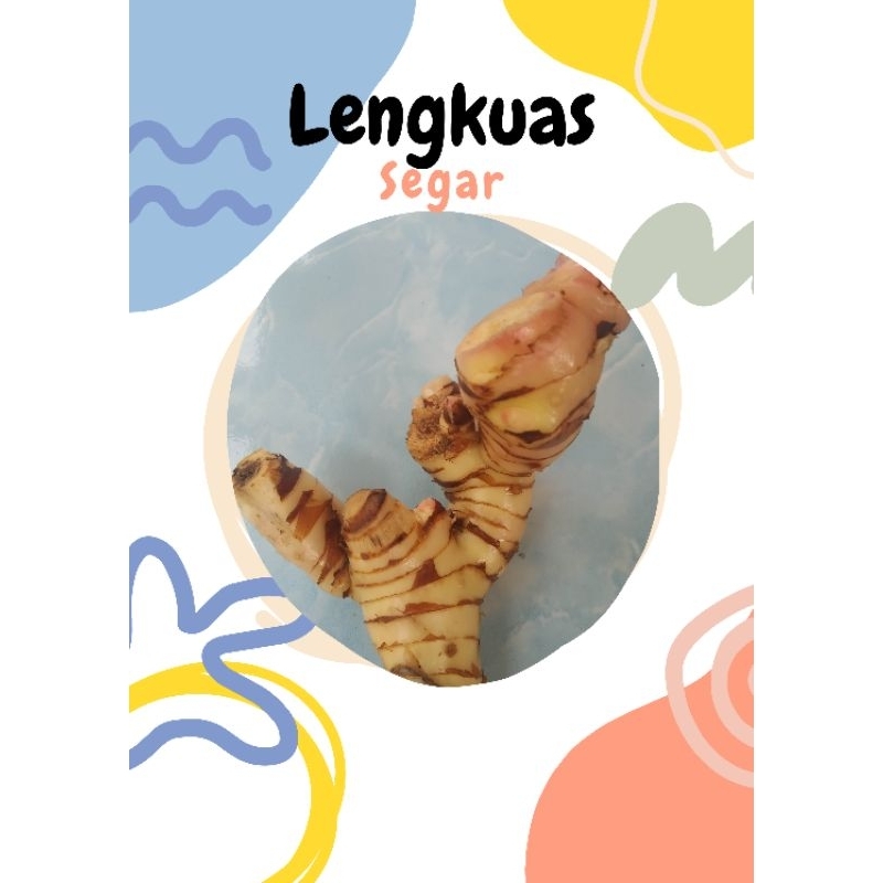 

Lengkuas/Laos/laja segar 1Kg