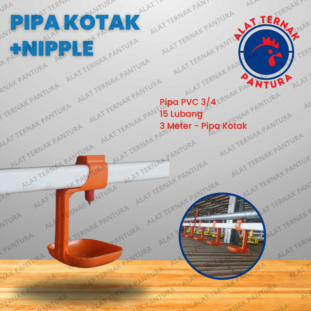 Pipa Kotak Plus Nipple 3/4 15 Lubang - Pipa/Paralon Kotak Nipple/Nipel/Napel/Nipple/Niple Ayam - Ala