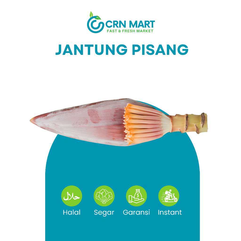 

CRN MART - Jantung Pisang Segar/Sayuran Segar/Ontong Pisang Fresh Per Buah