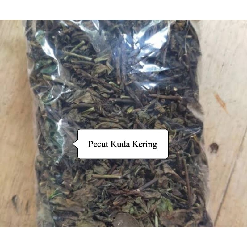 

Daun pecut kuda kering daun jarong kering 500 gram