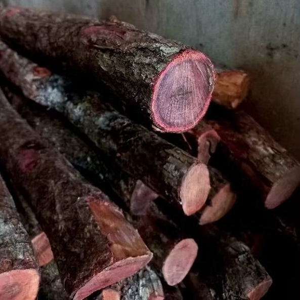 bahan kayu galih stigi/setigi asli karimun jawa