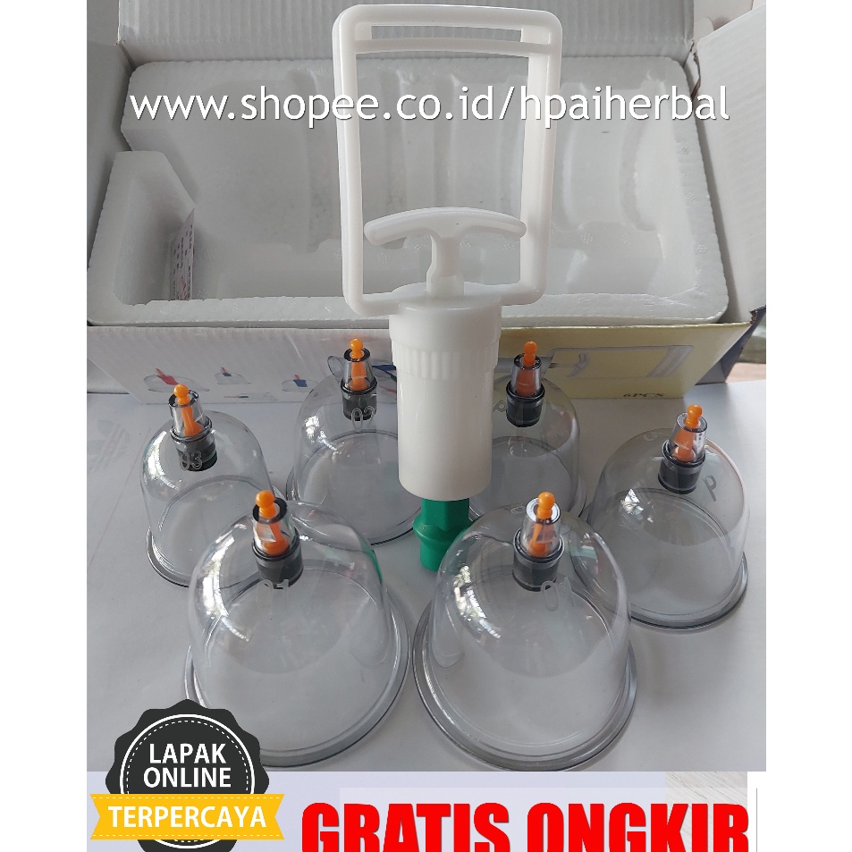 Paling Heboh  Alat Bekam Isi 6 BAOYI  Kop Bekam isi 6 BAOYI