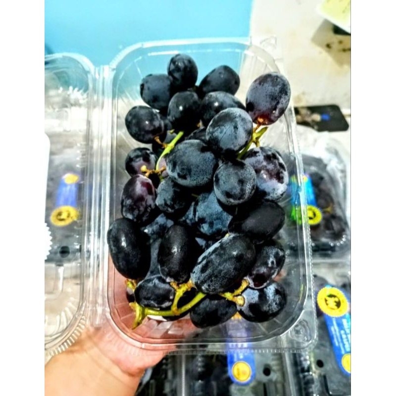 

ANGGUR AUTUM ROYAL MUANIS JUMBO FRESH PACK