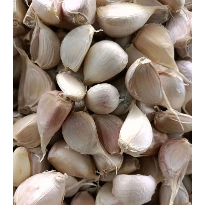 

Bawang Putih 1kg