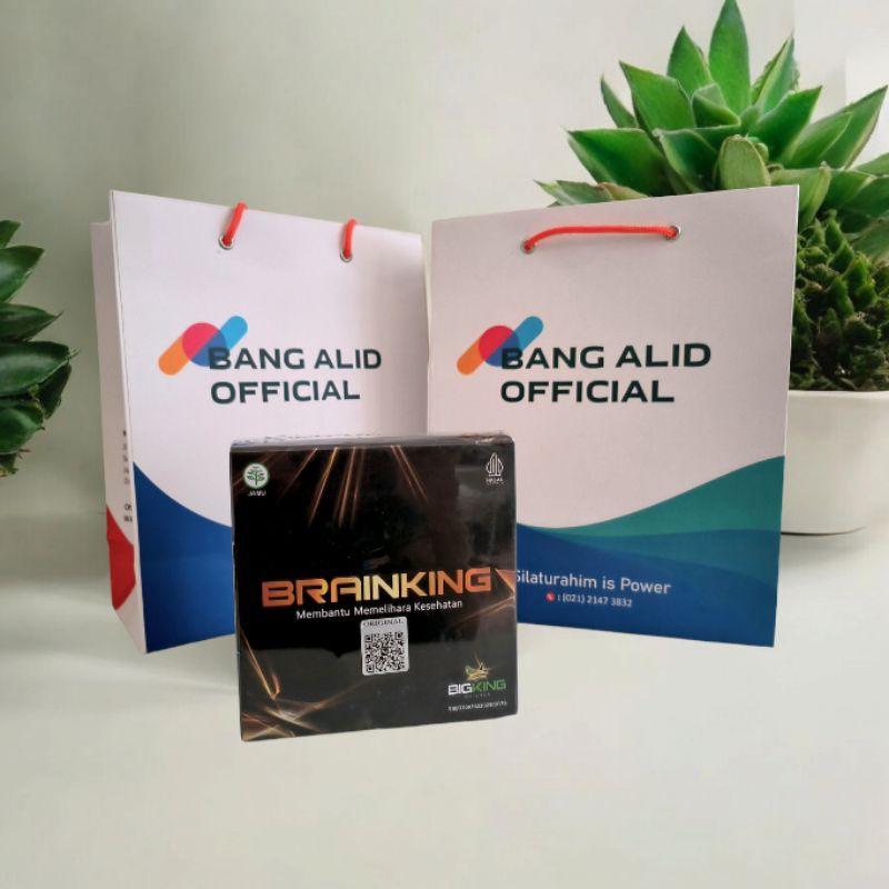 Nutrisi Brainking Plus Original