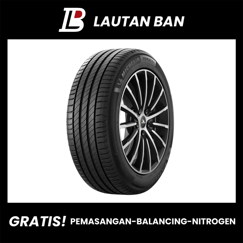 Ban Mobil Vw Tiguan Michelin 235/55/17
