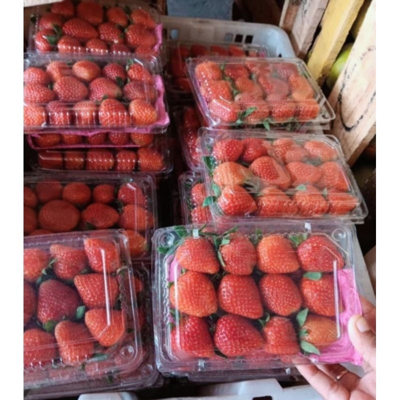 

stroberi mangkok fresh 200gr