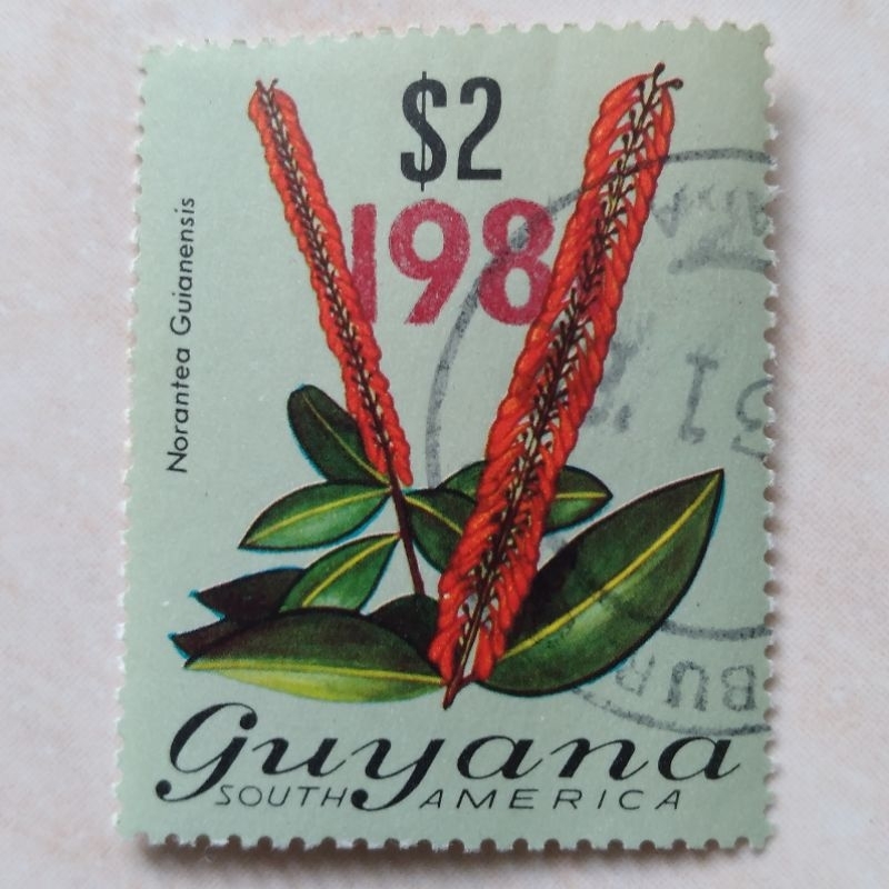 

Prangko Perangko Kuno Guyana 1981 Overprinted in Red - YN1885