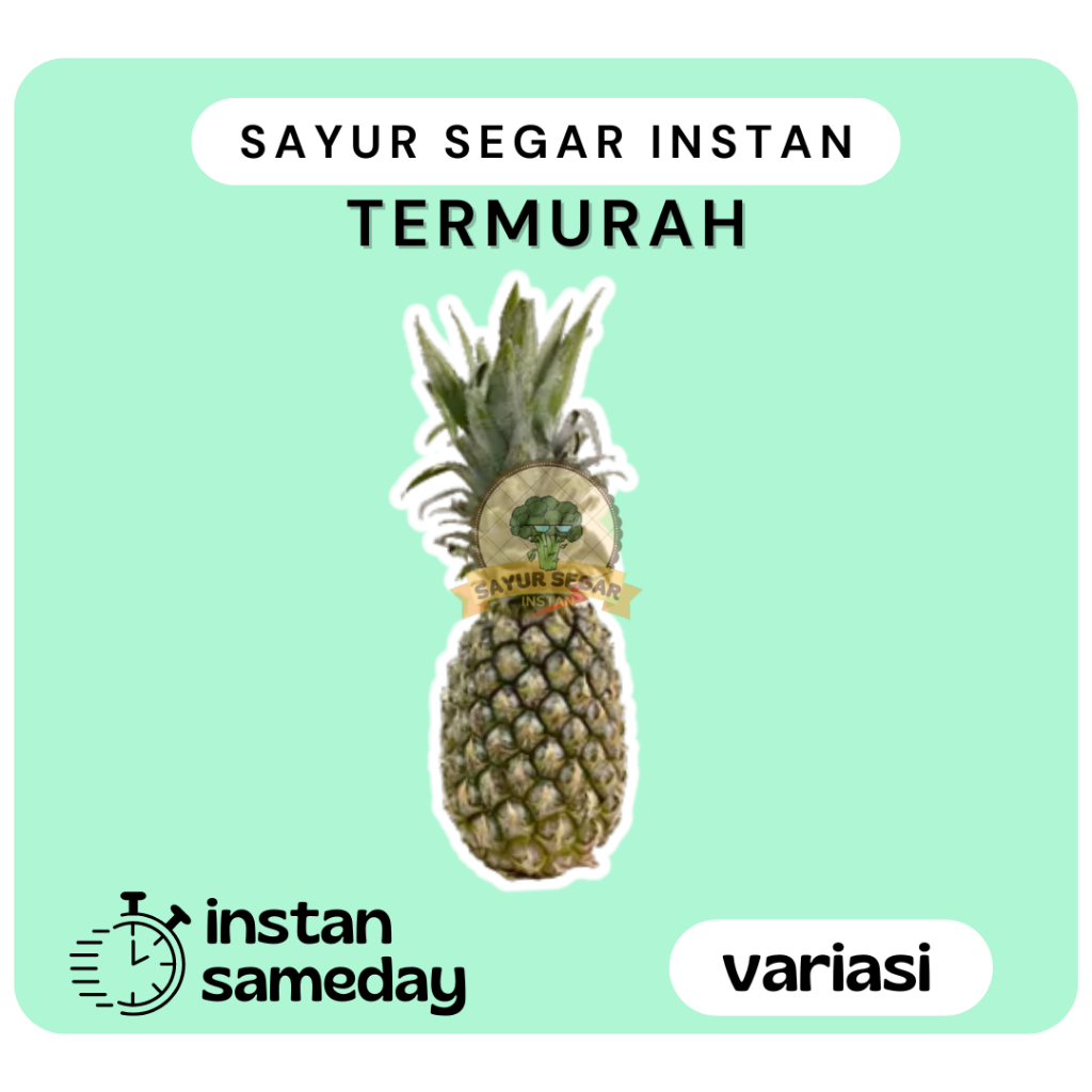 

Nanas Palembang / Nanas Muda Matang / Nanas Rujak - Sayur Segar Instan