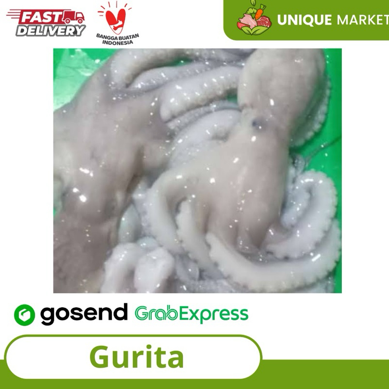 Gurita Segar(Octopus)