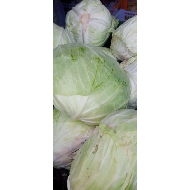 

Kol 10 kg