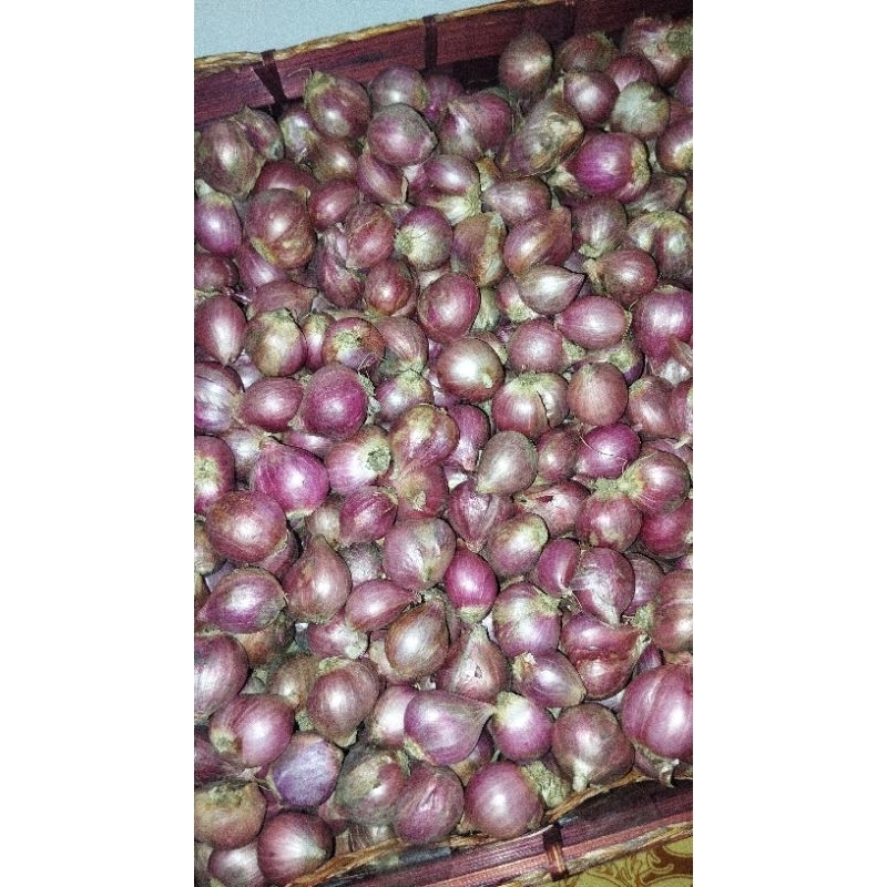 

Bawang Merah Kecil 1/4kg Asli Jawa