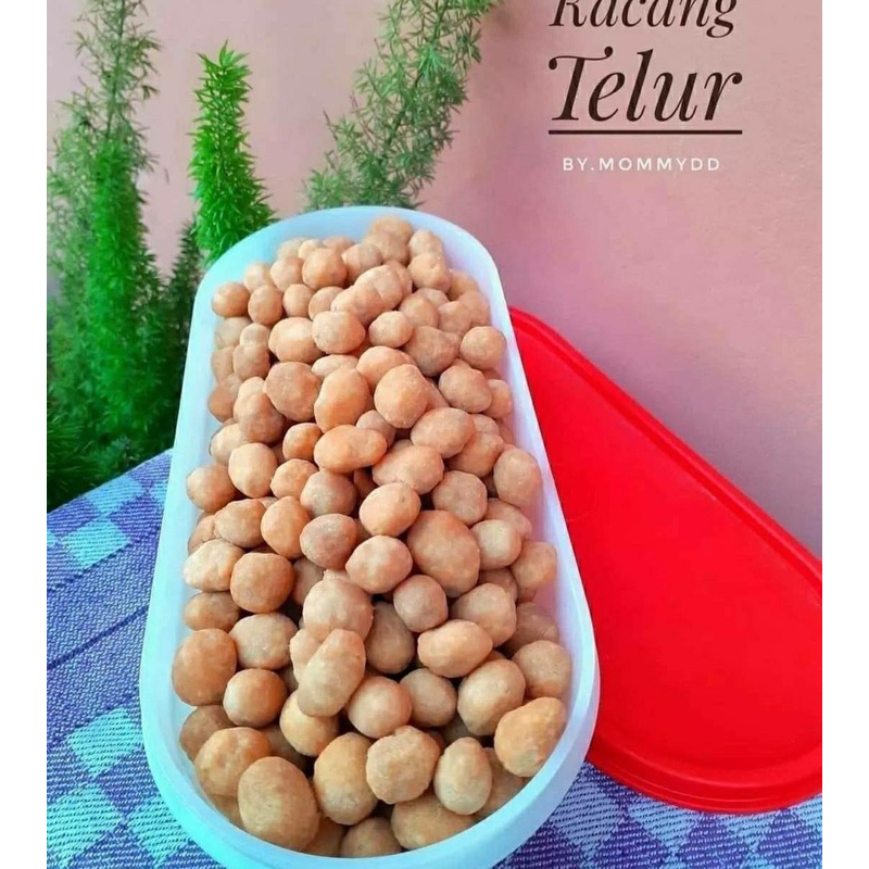 

kacang telur premium