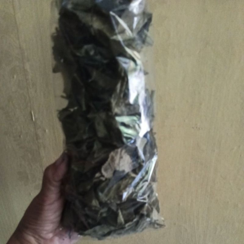 

Daun Keji Beling Ngokilo Kering Kemasan Plastik 1 kg