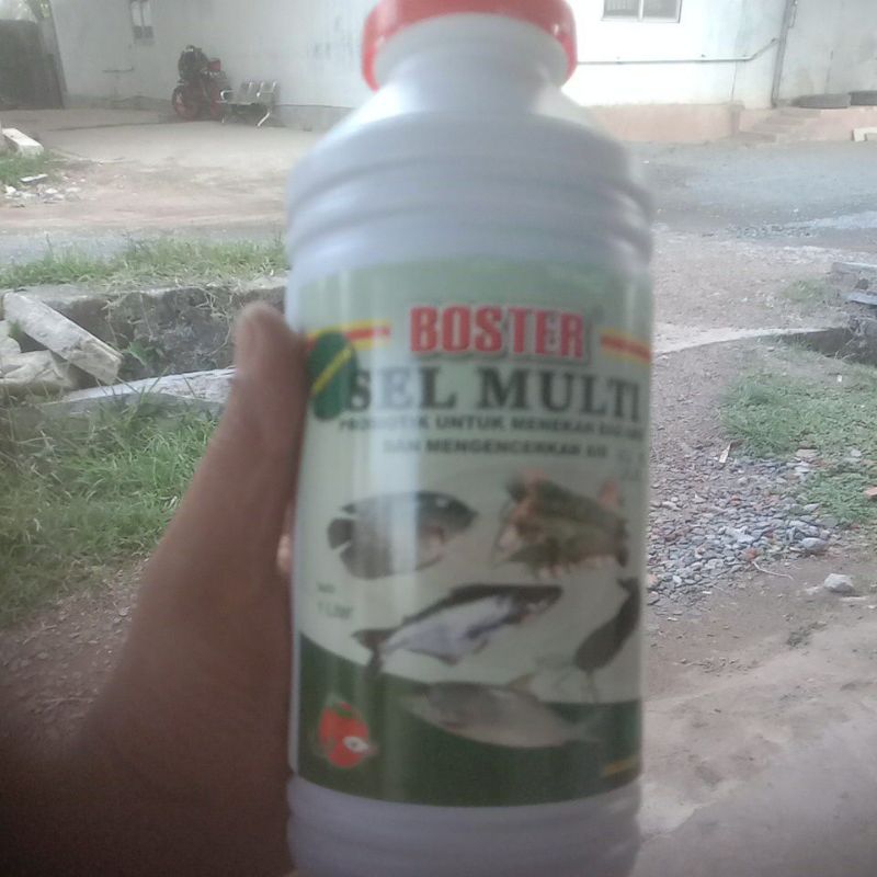 BOSTER SEL MULTI PROBIOTIK IKAN DAN UDANG