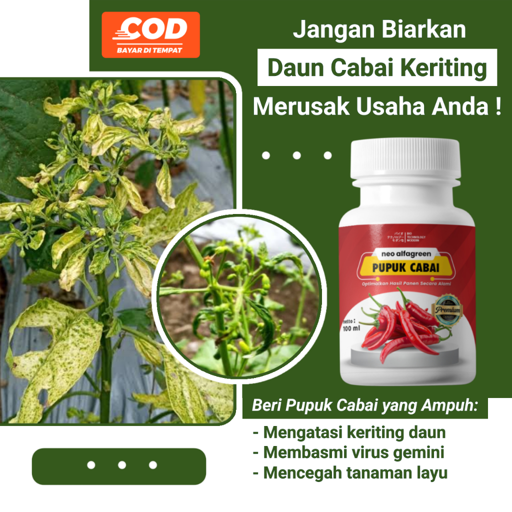 Pupuk cabai obat semprot anti virus kriting pupuk organik bulai cabai / Cabe ,Pupuk Organik Cabai an