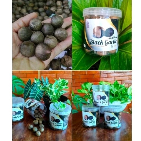 

Bawang Lanang hitam premium