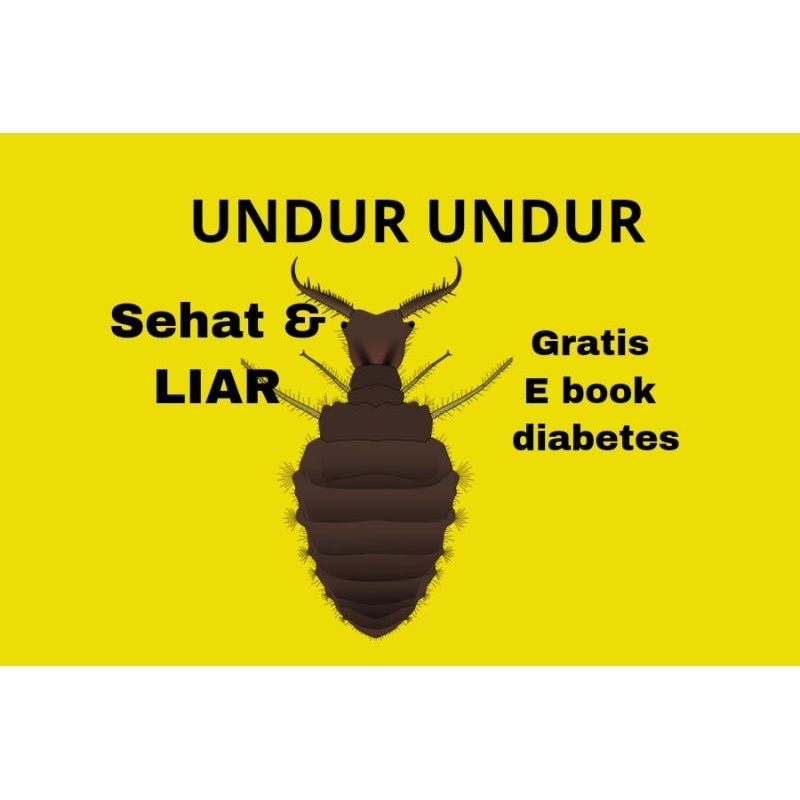 

undur undur tembukur bubukur alami dapet 20