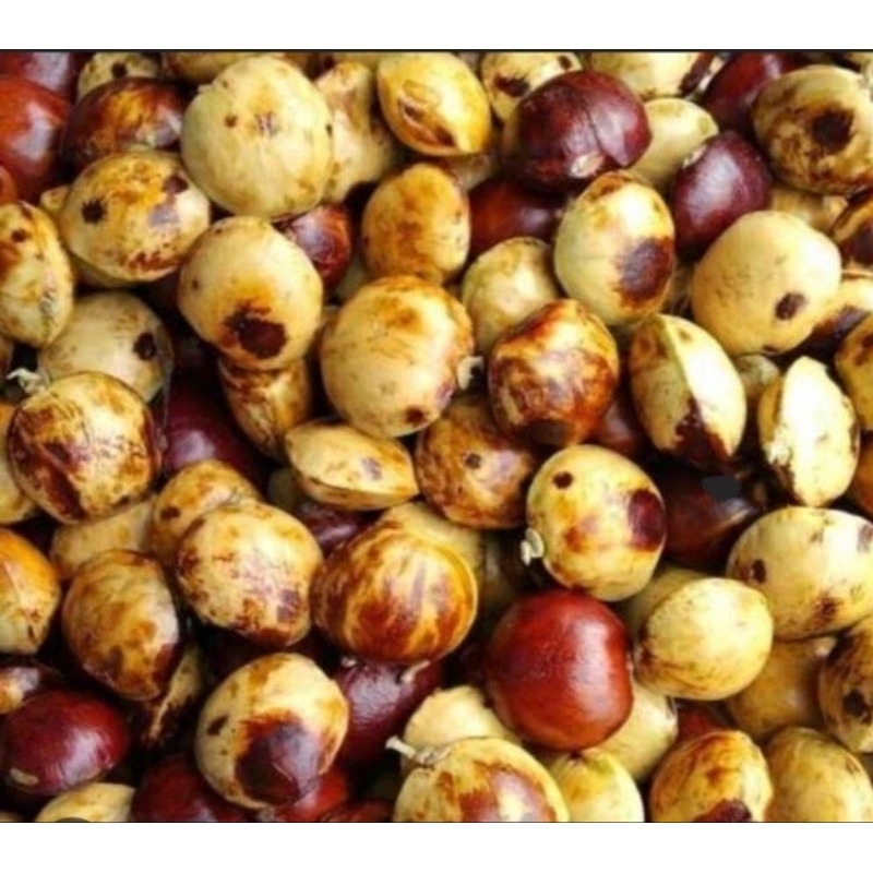 

1KG JENGKOL TUA KUPAS 100%ORIGINAL