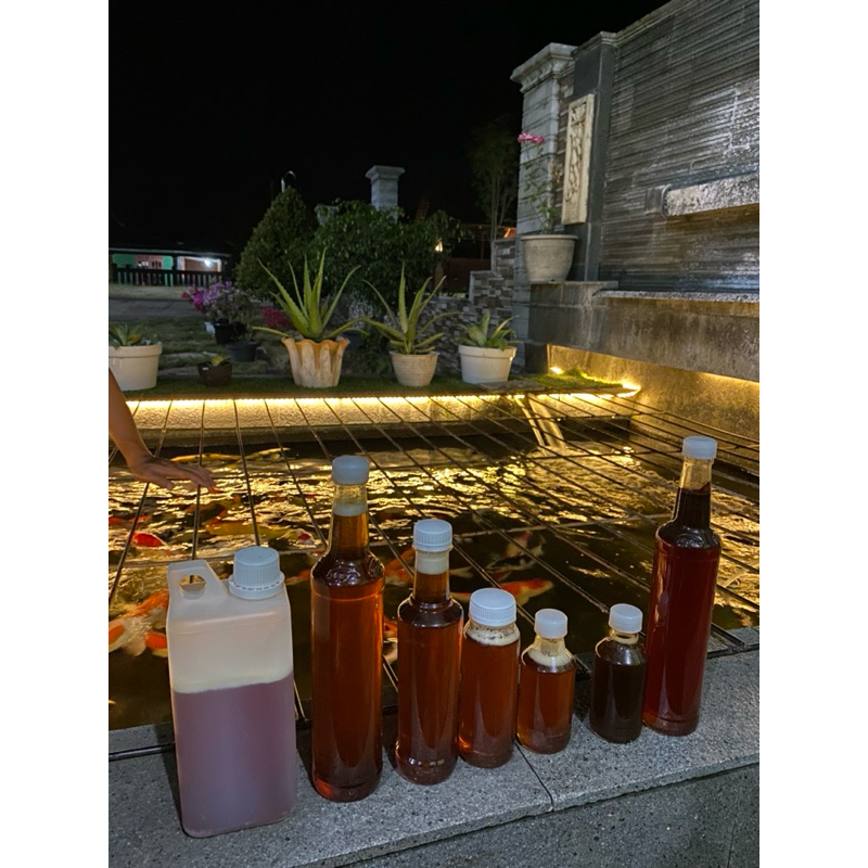 

Madu murni - madu glodok - madu lanceng