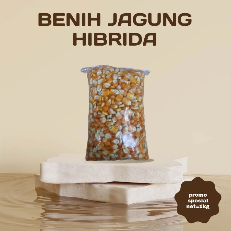 

PROMO / Benih Jagung Hibrida Lokal Siap Tanam Berat=500 Gram