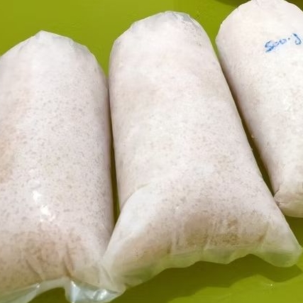 JKLP Bibit Teratai Salju Bibit Teratai Salju kualitas super herbal g