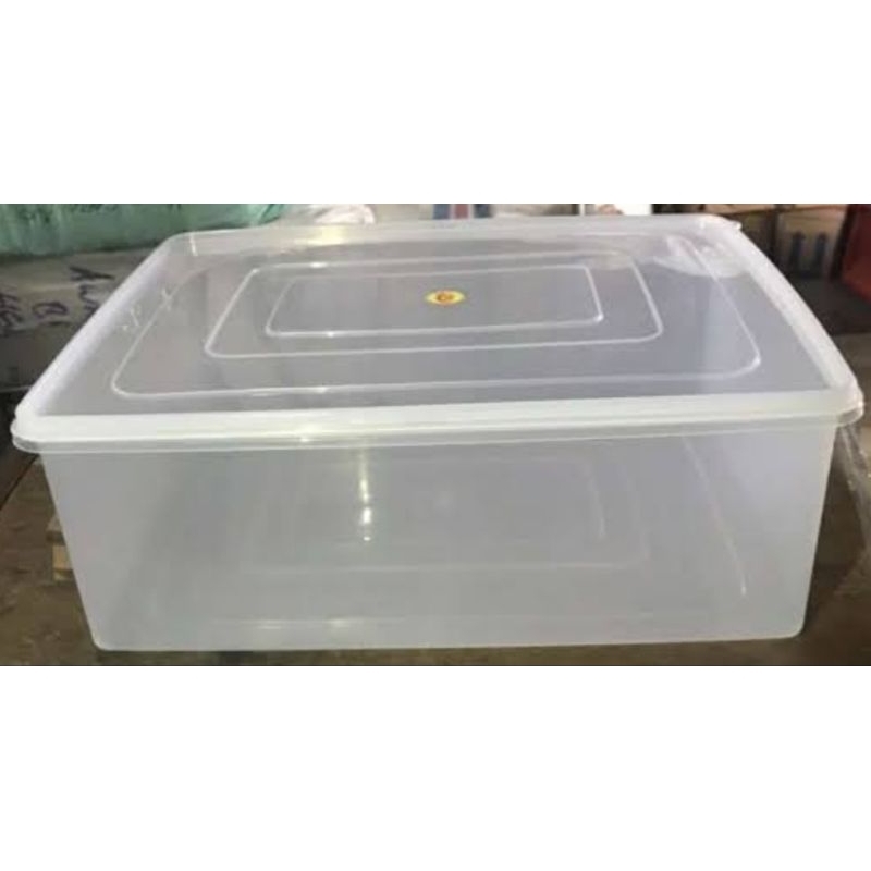 kotak donat tebal GM/kotak donat plastik/kotak durian/kotak makanan/kotak donat tinggi