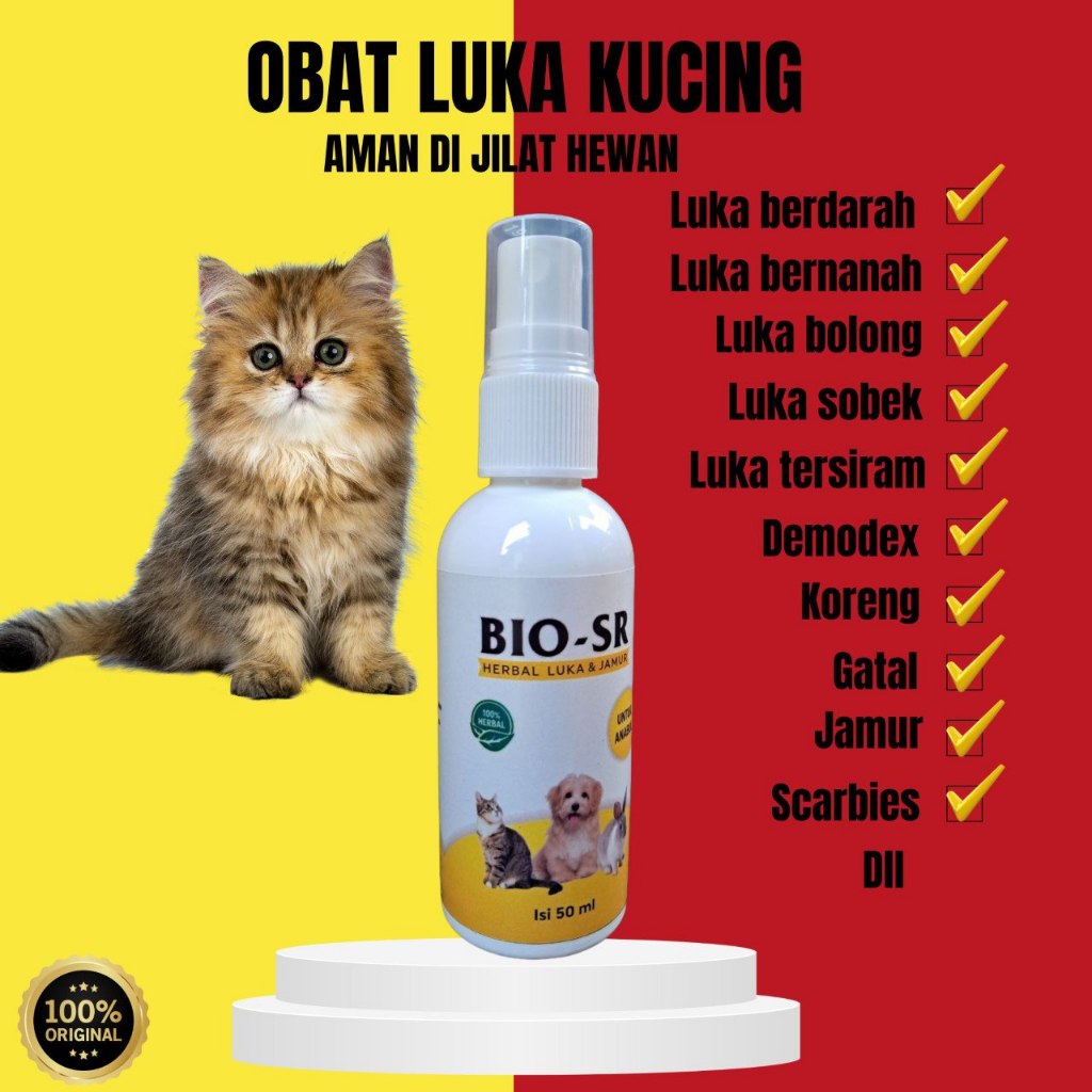 Obat Luka Kucing Untuk Bernanah Koreng Kering Infeksi Bolong Kucing Terbuka Basah Obat Kulit Bio Sr