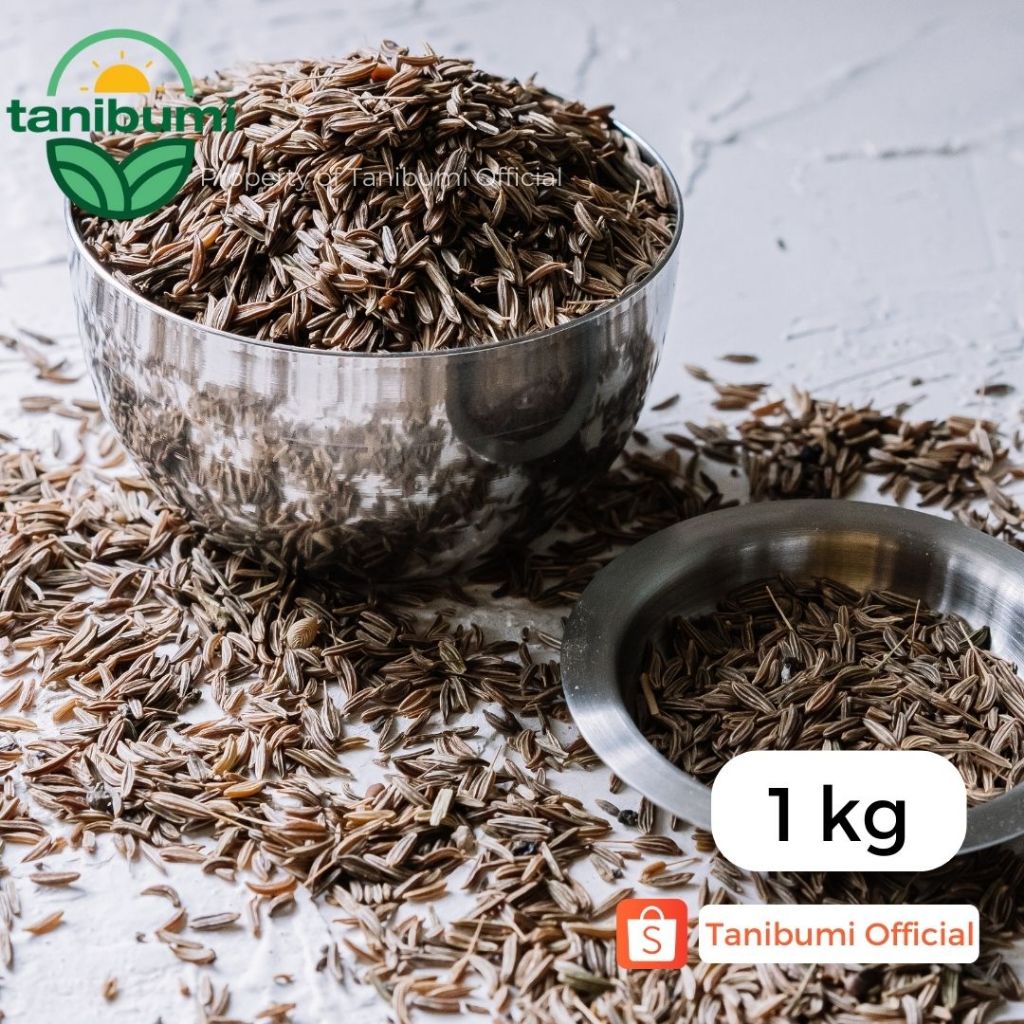 

1Kg | Grosir Caraway Seed | Jintan Masak | Biji Jinten Karaway Impor Premium