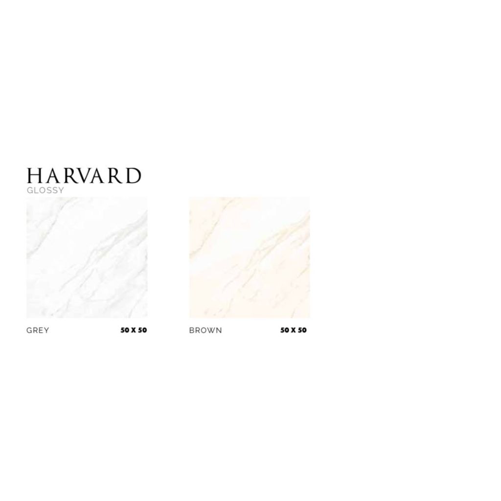 PLATINUM CERAMICS FLOOR TILE HARVARD GLOSSY GREY & BROWN 50X50