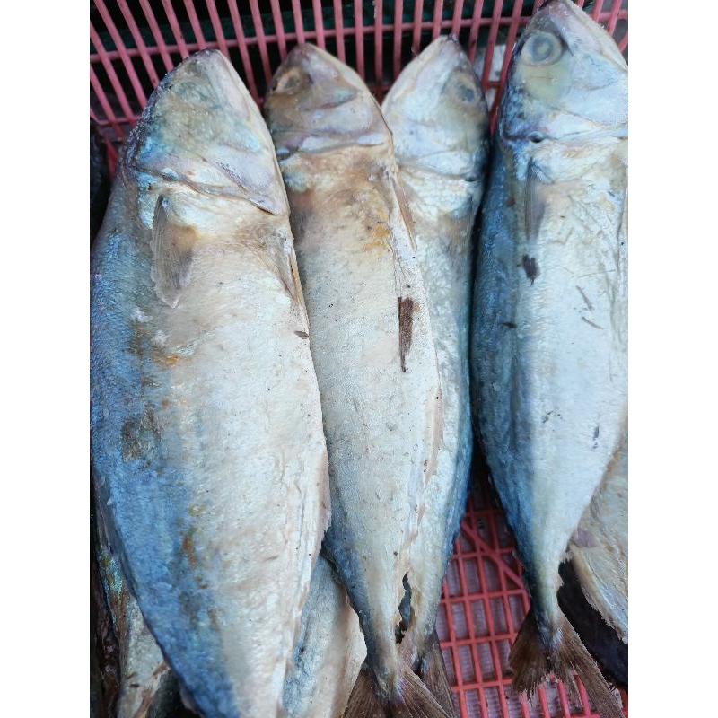 

ikan asin peda