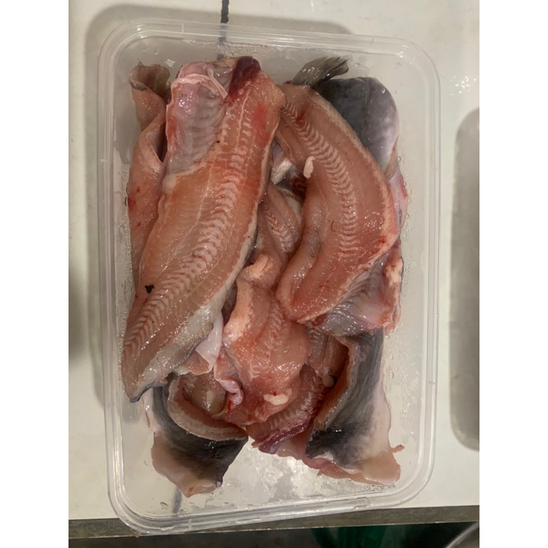 

Ikan Lele Fillet 500g FRESH