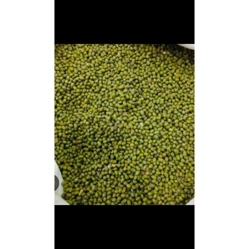 

kacang hijau bubur 500grm berkualitas bergizi baru panen.