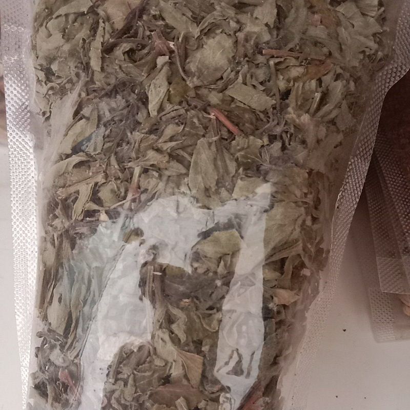 

jual daun kumis kucing kering satu pack