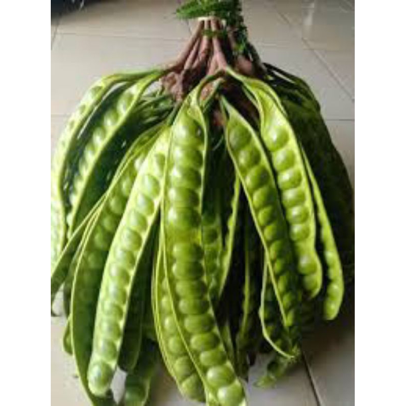 

petai jual per papan/ per lonjong