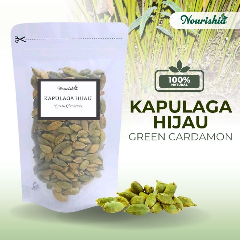 

Green cardamon 10gr 25gr 50gr / kapulaga hijau / kapulaga India / cardamon