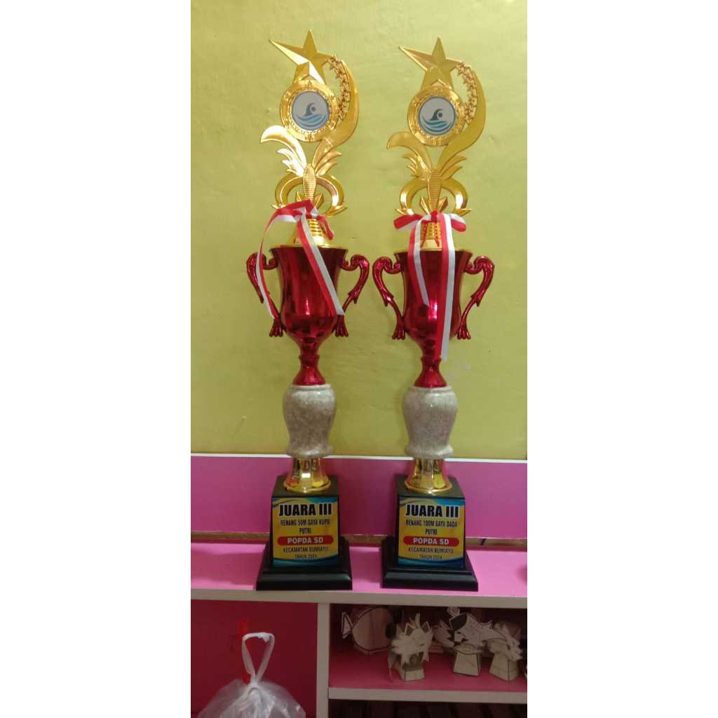 Piala Duplikat custom