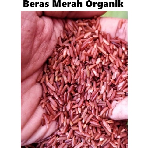 

AQUABRIZZ Beras Merah Organik Tinggi Serat Low Carbo Bisa Jadi Pakan Ternak