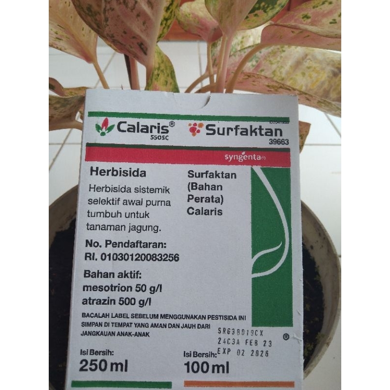 CALARIS 550 SC obat jagung Herbisida sygenta indonesia