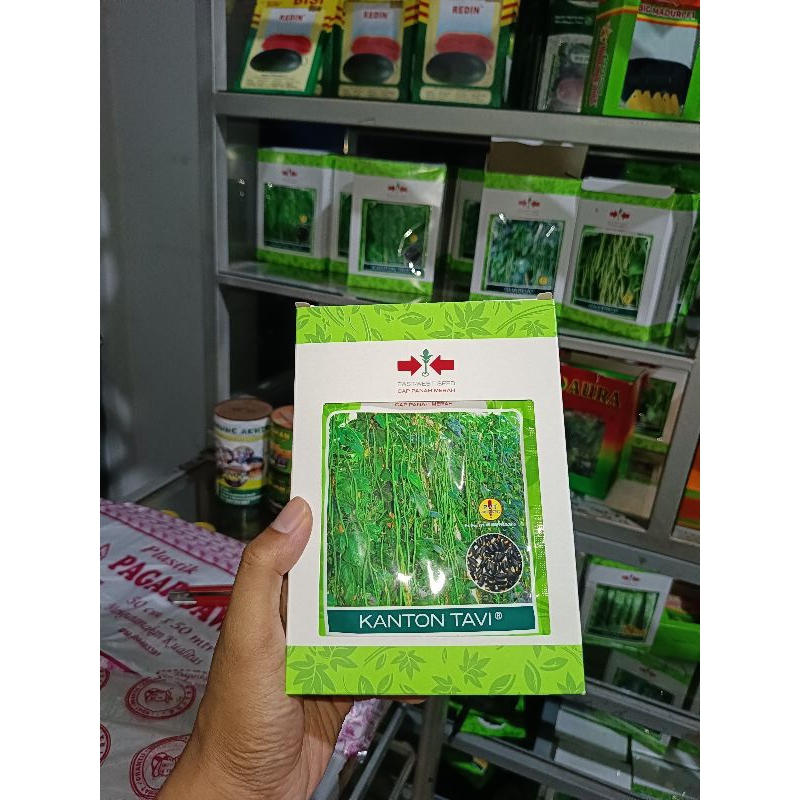 

Benih Kacang Panjang Kanton Tavi F1 Isi 200 Butir Anti Virus (Terbaru Berkwalitas)/Perawatan Mudah/Termurah Seindonesia