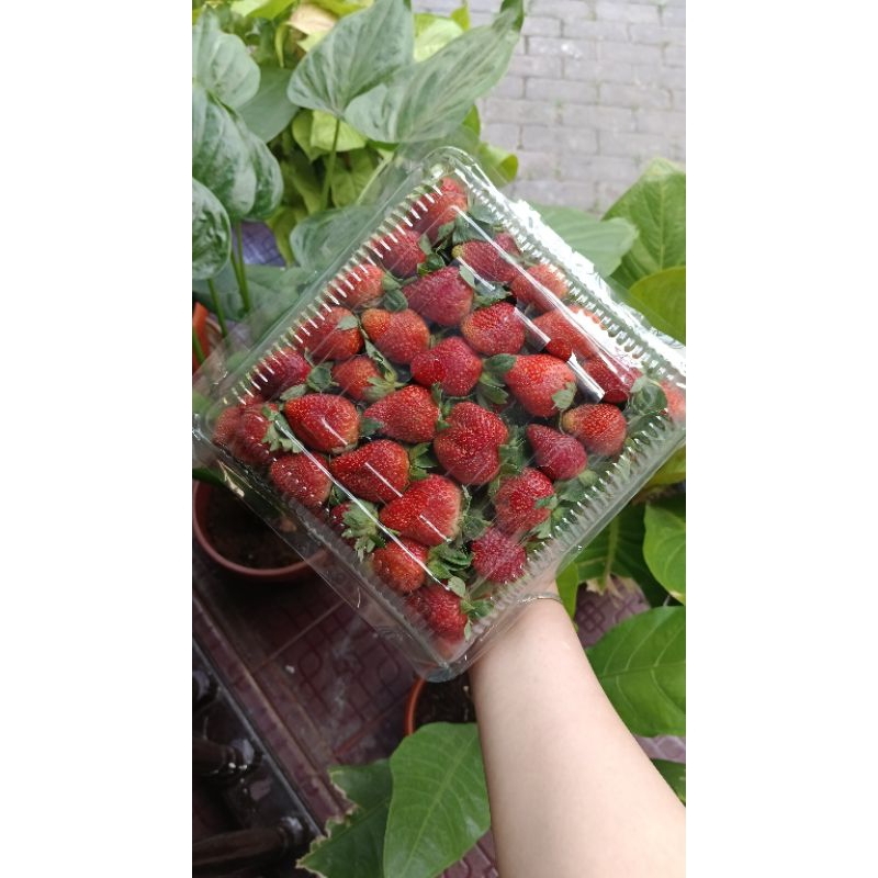 

strawberry