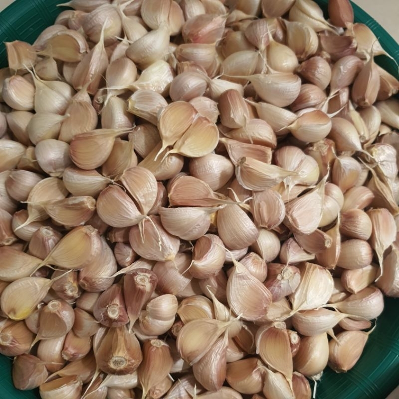 

BAWANG PUTIH KATING / BAPUT KATING BERSIH/ PIPILAN / BAWANG PUTIH KATING BERSIH TIDAK ADA BONGGOL @1KG