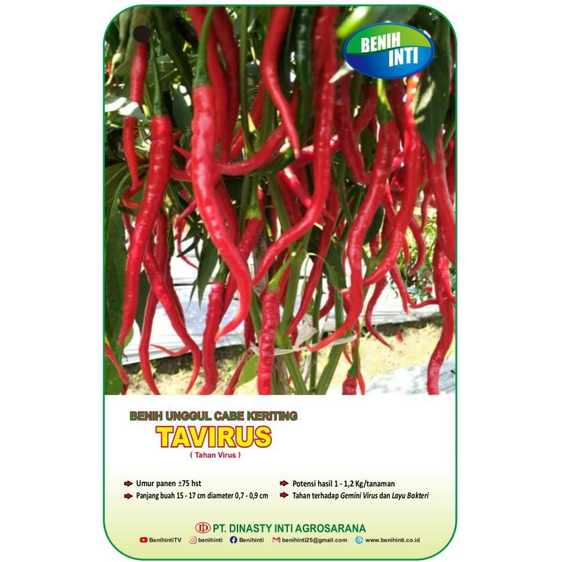 Benih Cabe Keriting TAVIRUS 10 GR ( Type CMK TAVI ) ✓ Benih Inti