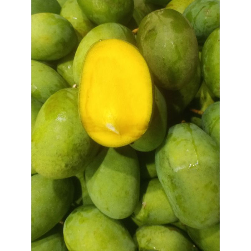 

MANGGA KWENI fress 700gram